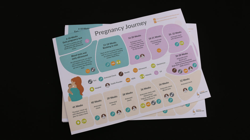 Pregnancy Journey Map Pads