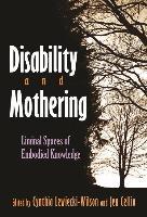 Disability and Mothering : Liminal Spaces of Embodied Knowledge